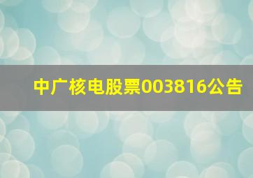 中广核电股票003816公告