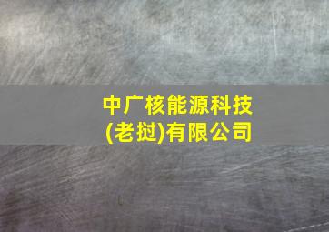 中广核能源科技(老挝)有限公司