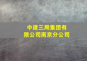 中建三局集团有限公司南京分公司