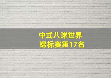 中式八球世界锦标赛第17名