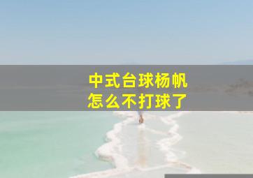 中式台球杨帆怎么不打球了