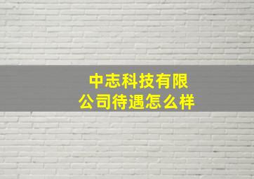 中志科技有限公司待遇怎么样