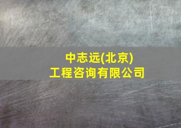 中志远(北京)工程咨询有限公司