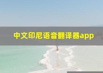 中文印尼语音翻译器app