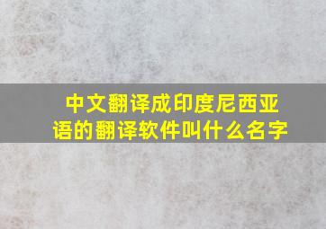 中文翻译成印度尼西亚语的翻译软件叫什么名字