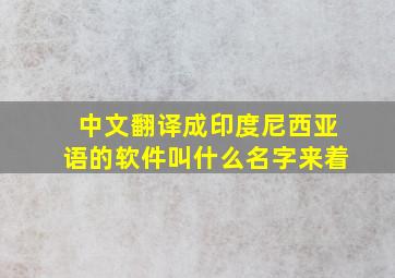 中文翻译成印度尼西亚语的软件叫什么名字来着