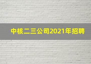 中核二三公司2021年招聘