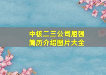 中核二三公司屈强简历介绍图片大全