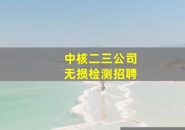 中核二三公司无损检测招聘