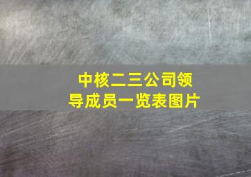 中核二三公司领导成员一览表图片