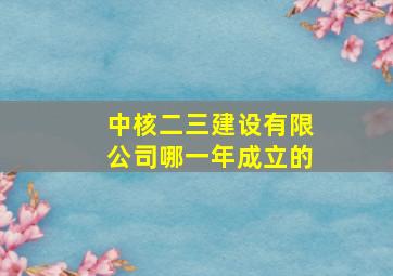 中核二三建设有限公司哪一年成立的