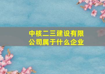 中核二三建设有限公司属于什么企业