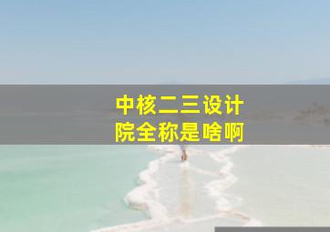 中核二三设计院全称是啥啊