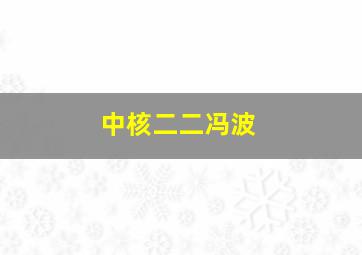 中核二二冯波