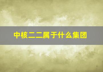 中核二二属于什么集团