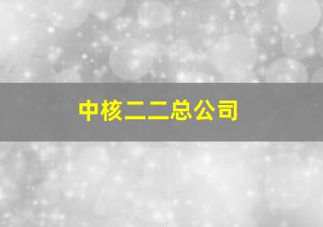 中核二二总公司