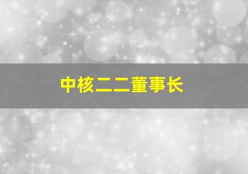 中核二二董事长