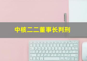 中核二二董事长判刑