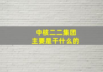 中核二二集团主要是干什么的