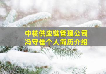 中核供应链管理公司冯守佳个人简历介绍