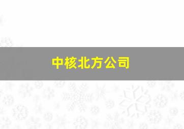 中核北方公司