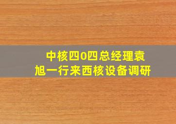 中核四0四总经理袁旭一行来西核设备调研