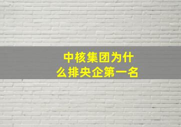 中核集团为什么排央企第一名