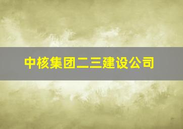 中核集团二三建设公司