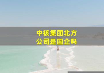 中核集团北方公司是国企吗