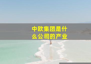 中欧集团是什么公司的产业