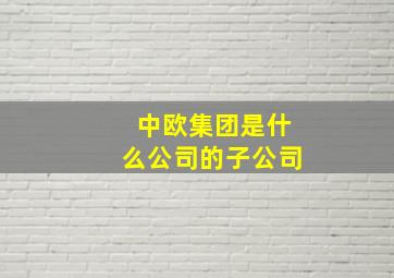 中欧集团是什么公司的子公司