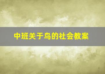 中班关于鸟的社会教案