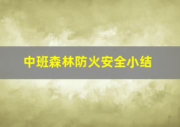 中班森林防火安全小结