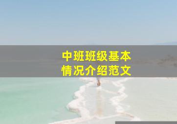 中班班级基本情况介绍范文