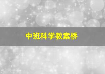 中班科学教案桥