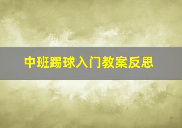 中班踢球入门教案反思