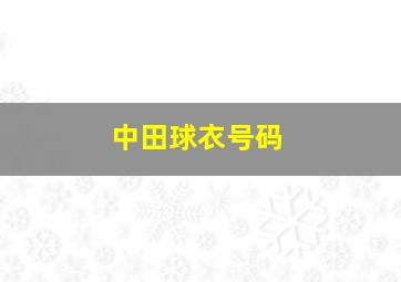 中田球衣号码