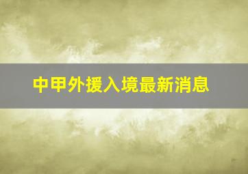 中甲外援入境最新消息