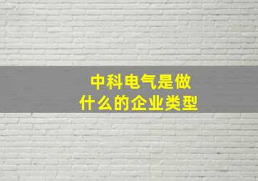 中科电气是做什么的企业类型