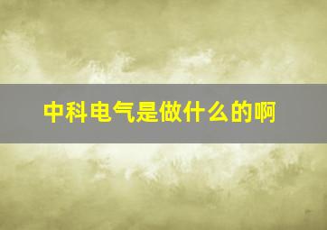 中科电气是做什么的啊