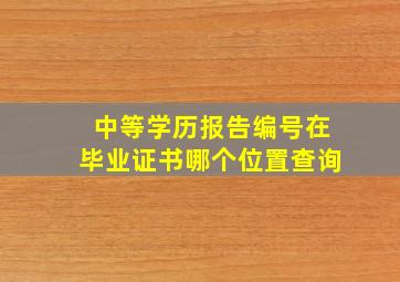 中等学历报告编号在毕业证书哪个位置查询