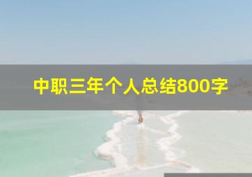 中职三年个人总结800字