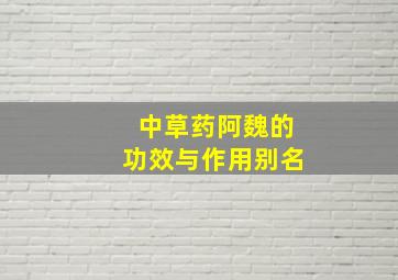 中草药阿魏的功效与作用别名