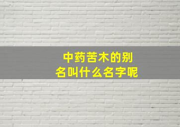 中药苦木的别名叫什么名字呢