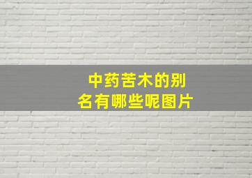 中药苦木的别名有哪些呢图片