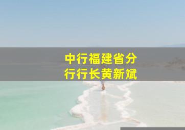 中行福建省分行行长黄新斌