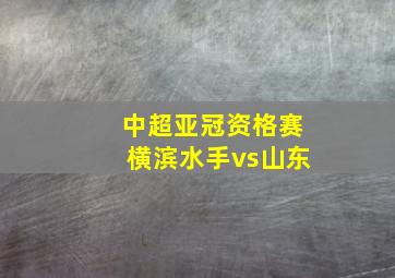 中超亚冠资格赛横滨水手vs山东