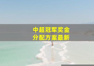 中超冠军奖金分配方案最新