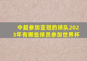 中超参加亚冠的球队2023年有哪些球员参加世界杯