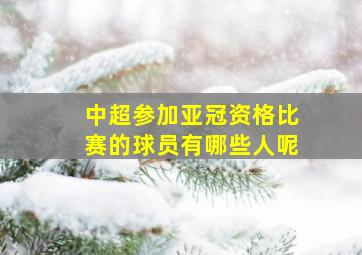 中超参加亚冠资格比赛的球员有哪些人呢